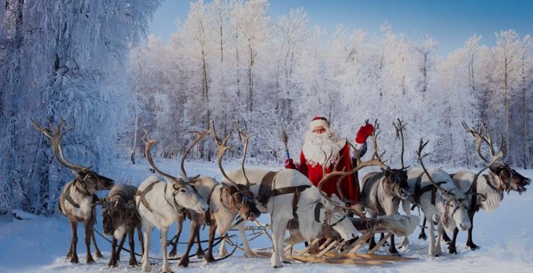 how much reindeer does santa have
