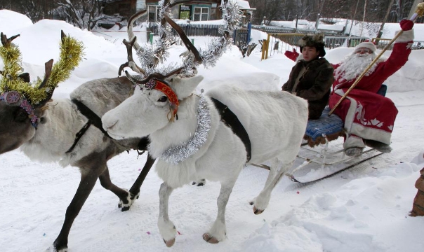 what reindeer pull santaʼs sleigh