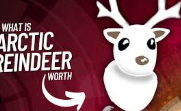 what reindeer worth in adopt me