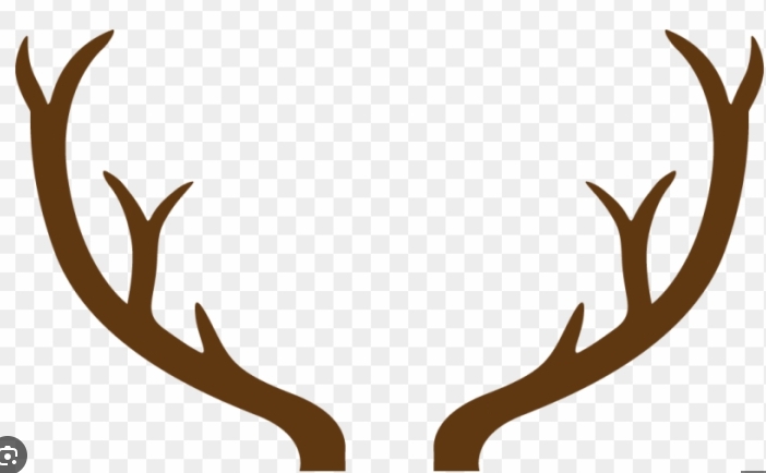 christmas antlers png