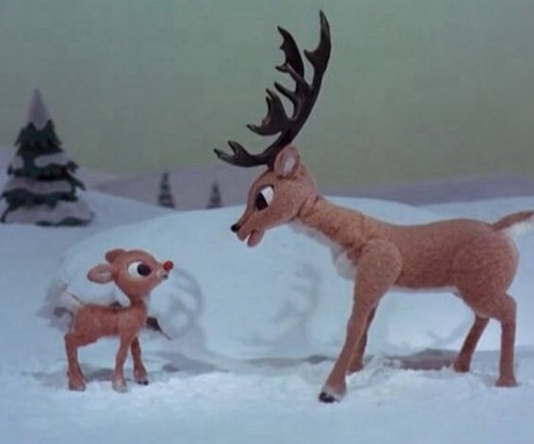 which reindeer is rudolphʼs dad