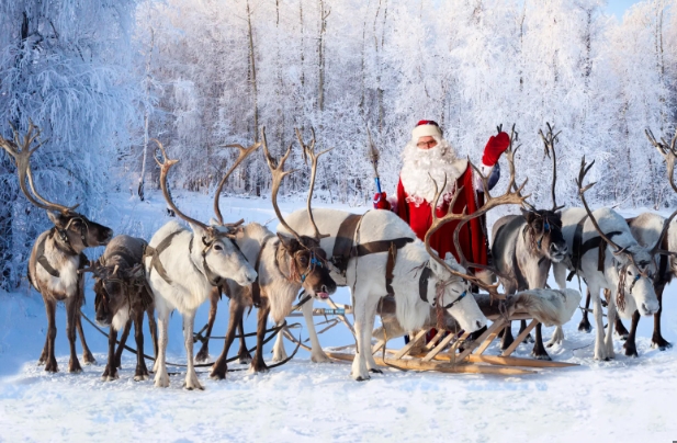 reindeer who pull santa sleigh