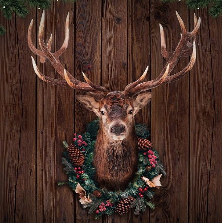 christmas deer images free