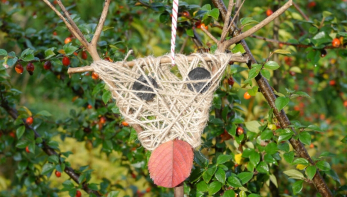 images of reindeer faces