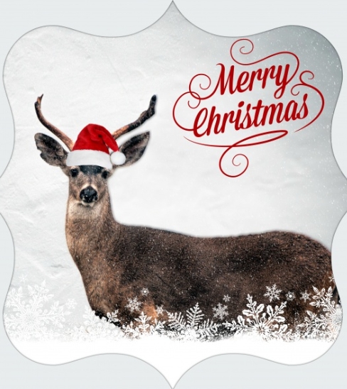 merry christmas deer images