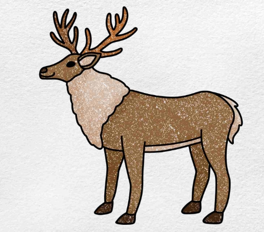 pictures of a reindeer to draw