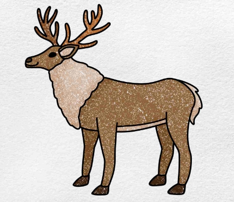 reindeer pictures drawing