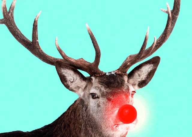 picture of rudolph the reindeer