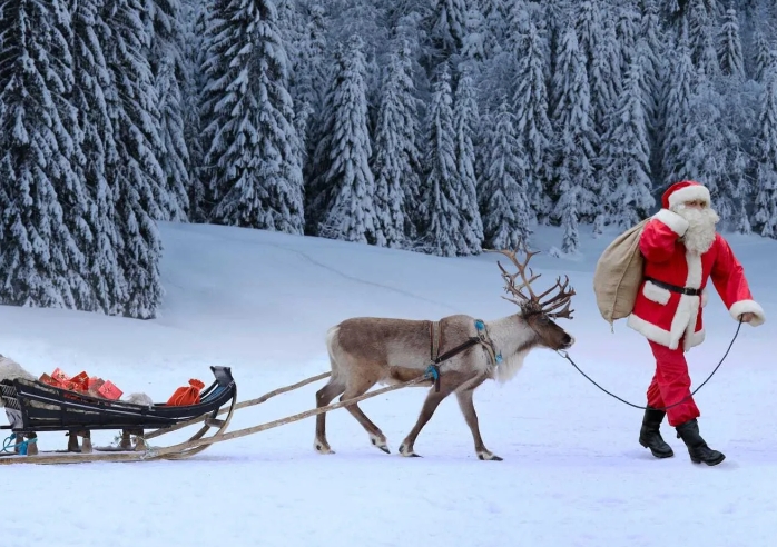 picture of father christmas and reindeer