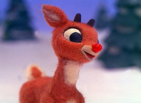 photos of rudolph the reindeer