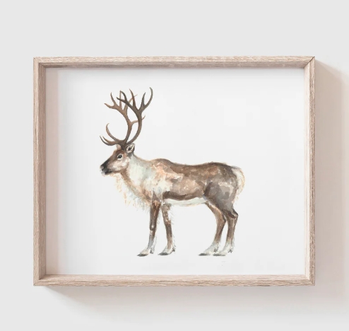 reindeer pictures to print