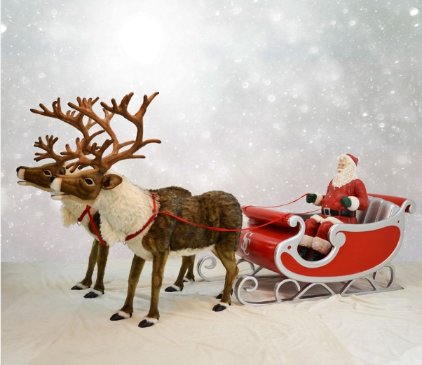 picture santa and reindeer