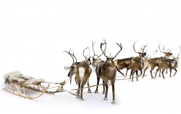 santas reindeer images