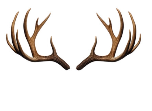 rudolph antlers png