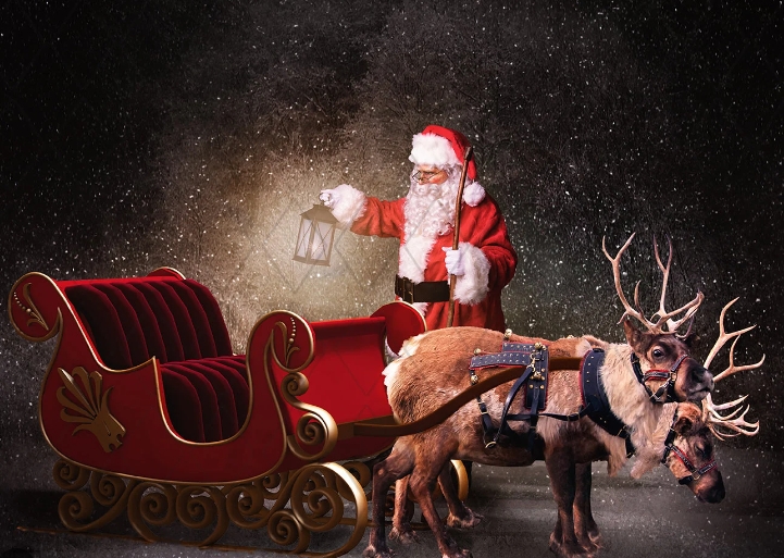 picture of santa sleigh and reindeer