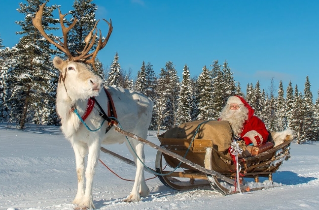 santa reindeer pictures real