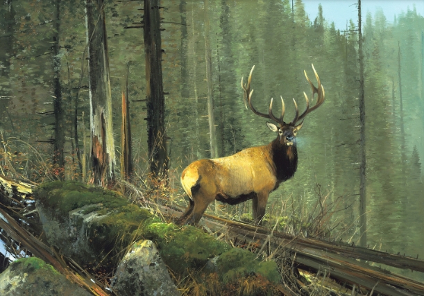 Elk Art