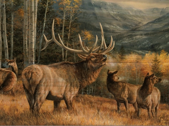 Elk Art